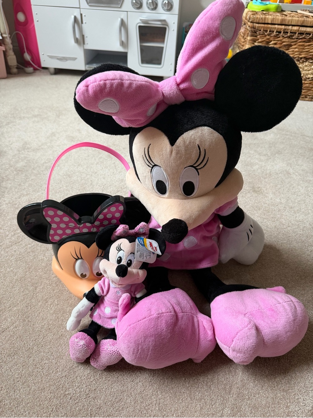 Minnie Mouse bundle